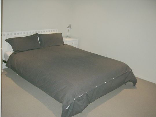 Large and Spacious - Photo 1