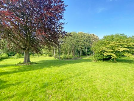 Panoramic View of Lyngby Lake - Foto 4