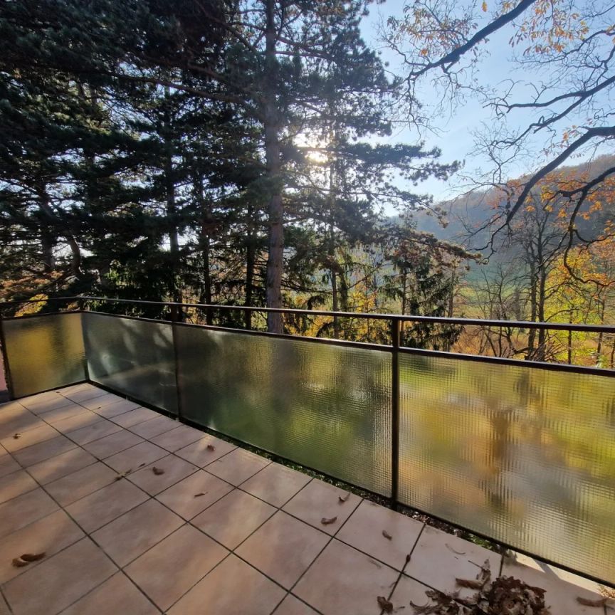 PÖTZLEINSDORFER PARK - LOFTARTIGE ARCHITEKTENWOHNUNG - TRAUMHAFTE LAGE - GRÜNBLICK - 5 ZIMMER + grosser BALKON - Foto 1