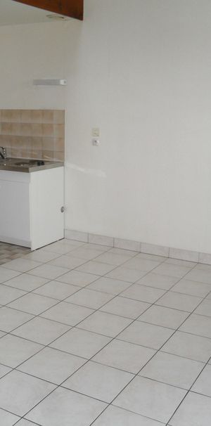 Location Appartement 2 pièces 33m² STE LUCE SUR LOIRE 44980 - Photo 1
