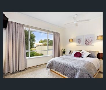 FAMILY FRIENDLY 3 BEDROOM HOUSE WITH BIG SHED. PETS NEGOTIABLE - Photo 4