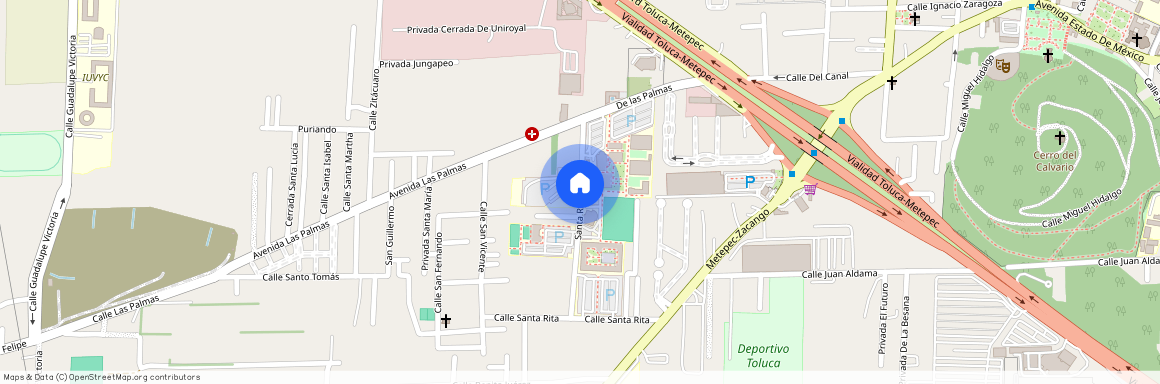 Calle Lienzo Charro 465, San Jorge Pueblo Nuevo, Metepec, México, 52164, MEX