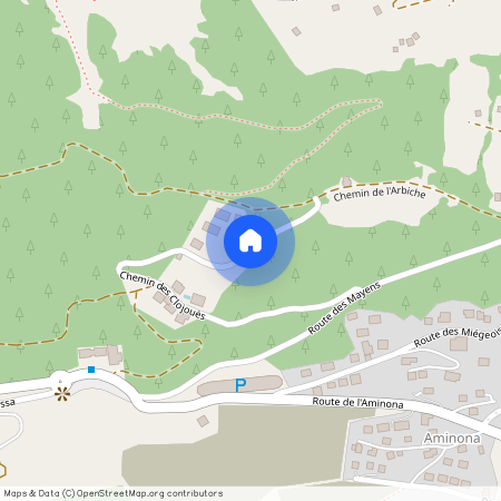 Aminona 3963, 3963 Aminona