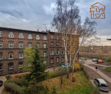 Katowice Lisa - Zdjęcie 1
