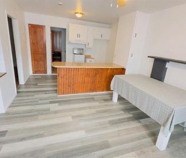 Immeuble - 826-836 Short/901-909 Courcelette Joli 3 1/2 - Photo 3