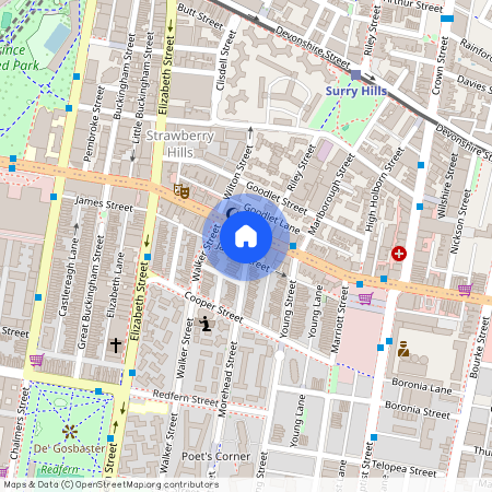 325 Cleveland Street, Sydney, New South Wales 2016