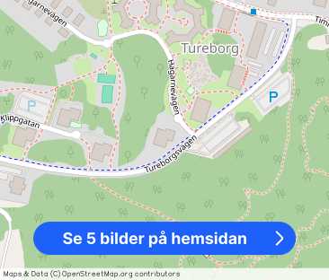 Tureborgsvägen 20 - Foto 1