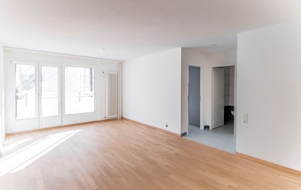 RENOVATED APARTMENT WITH BALCONY AND ELEVATOR - Photo 1