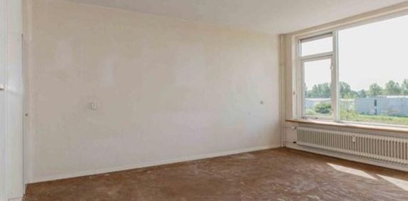 Cederstraat, 2404 Alphen aan den Rijn, Nederland - Foto 2