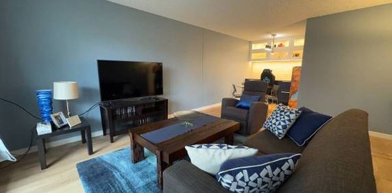 Renovated "Canuck Plaza" Apartment in Central Maple Ridge! Cat okay! - Photo 2