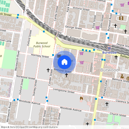 1107/39-47 Belmore Street, NSW 2134, Burwood