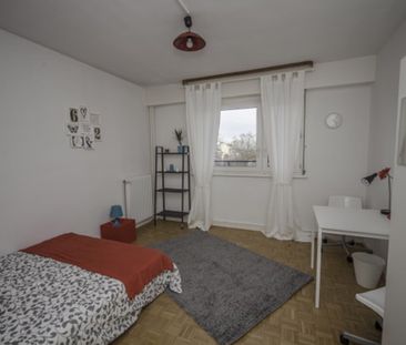 Strasbourg - Le General - Chambre 4 - Photo 3