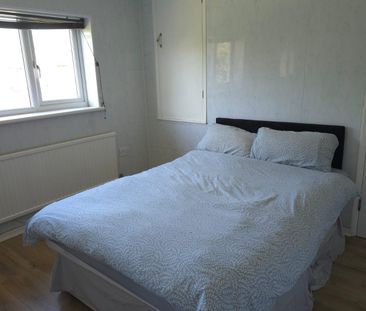 4 bed house to rent in Hawthorn Avenue, Colchester - Photo 2