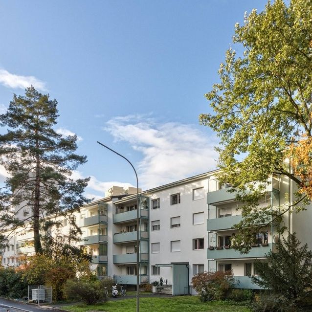 Gemütliches Wohnen in Birsfelden - Foto 1