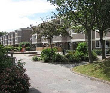 Kobbegården 51 - Photo 4