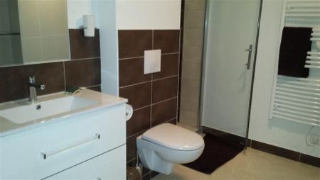 Location appartement 2 pièces - 41.24m² à La mure (38350) - Photo 4