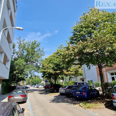Pronájem bytu 3+kk 88 m² - Fotografie 4