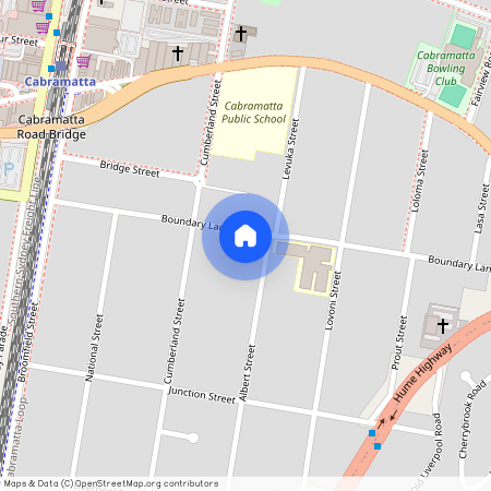 1A Albert St, NSW 2166, Cabramatta