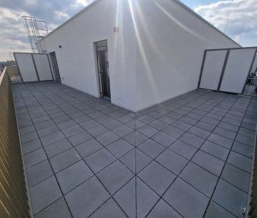 NEU - Erstbezug-Wohnung mit riesige Terrasse 45 m2 - Photo 3