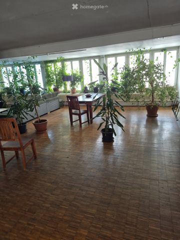 4.5 Zimmer, 260 m² - Foto 4