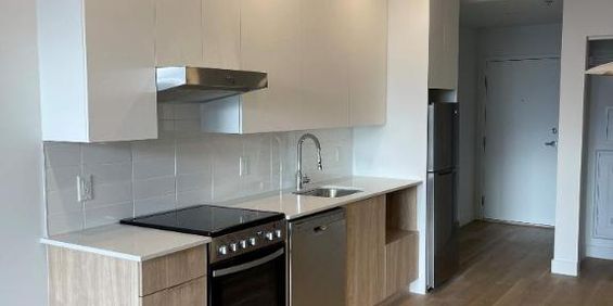✨ Loft à louer – Bishop Embassy (Centre-ville de MTL) ✨ - Photo 3