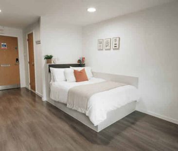 Gold Studio - Photo 6