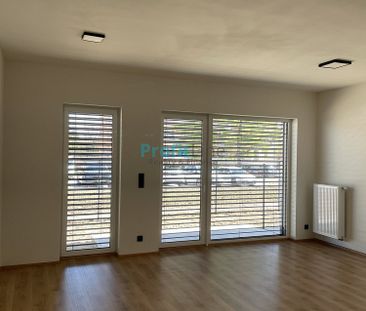 Pronájem bytu 1+kk 50 m² - Fotografie 1