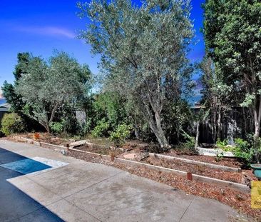 A Home Designed for Comfort and Style - Photo 5