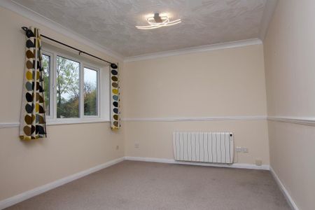 2 bedroom cluster house to rent - Photo 3