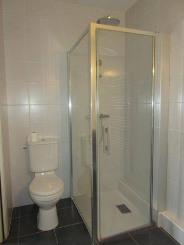 Location appartement t1 bis 2 pièces 35 m² à Rodez (12000) - Photo 5