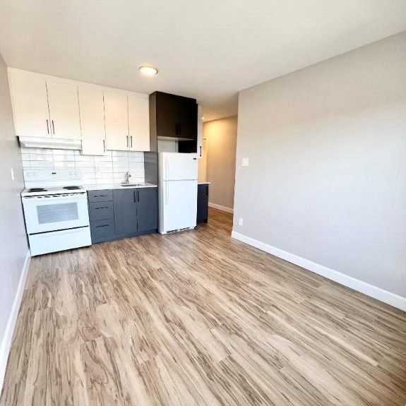 1 CH - 1 SDB - Montréal - $1,300 /mo - Photo 1