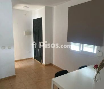 Apartamento en alquiler en 2ª Pista de La Barrosa - Foto 2