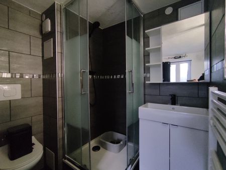 Location Appartement 2 pièces 18m² BELFORT 90000 - Photo 4