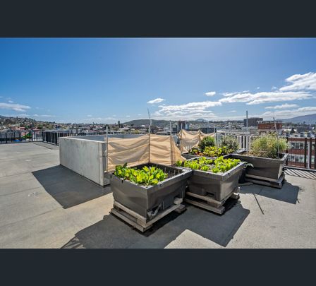 303/126 Bathurst Street, Hobart, Tas 7000 - Photo 1