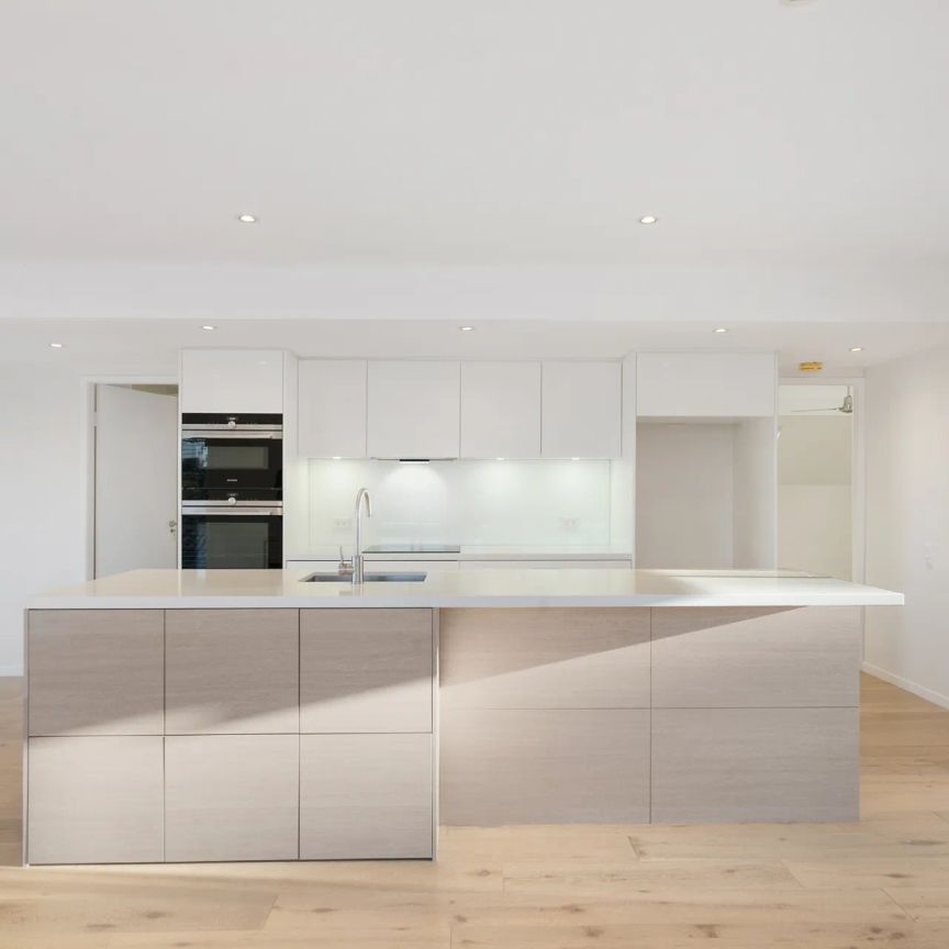 Stunning Upper Duplex - Utilities Included - Photo 1