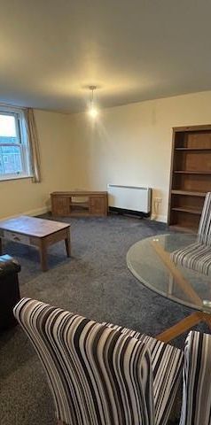 Orange Grove - Photo 1