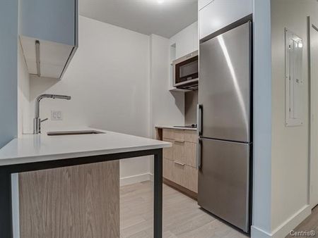 Appartement à louer - Montréal (Le Sud-Ouest) (Griffintown) Appartement à louer - Montréal (Le Sud-Ouest) (Griffintown) - Photo 4