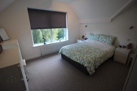 60 Malone Road, Belfast, BT9 5BT - Photo 5