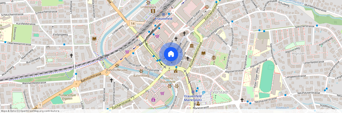 8500, Frauenfeld, Zürcherstrasse, 161