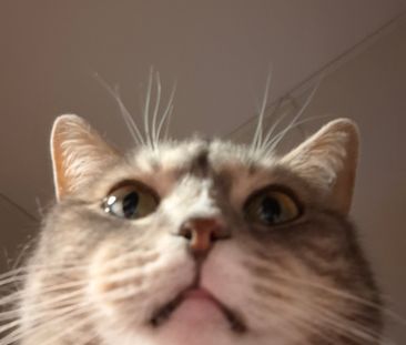 Blodstensvägen, Uppsala - Foto 6