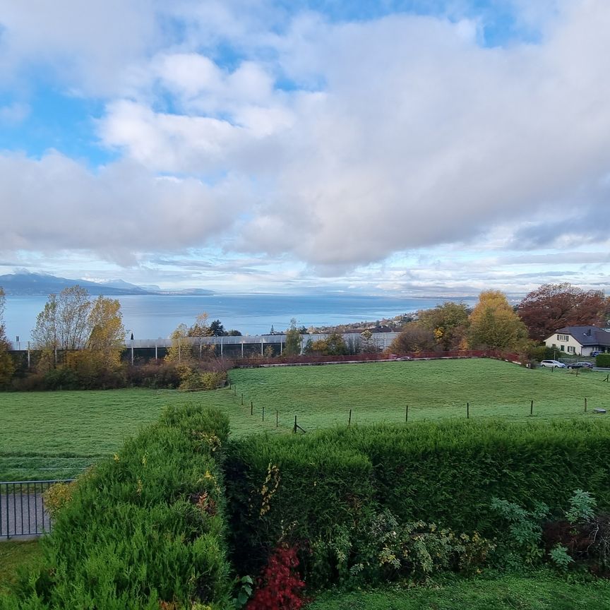 Maison individuelle - Chemin de la Canélaz 10 - 1090 La Croix s/Lutry - Photo 1