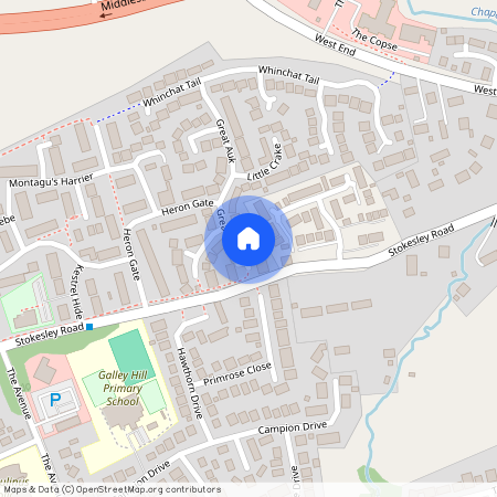 Gold Crest, Guisborough, TS14