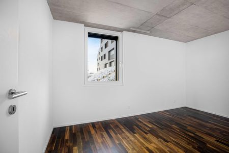 2.5 Zimmer, 54 m², EG - Photo 5