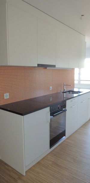 2.5 Zimmer, 57 m², 4. Stock - Foto 1