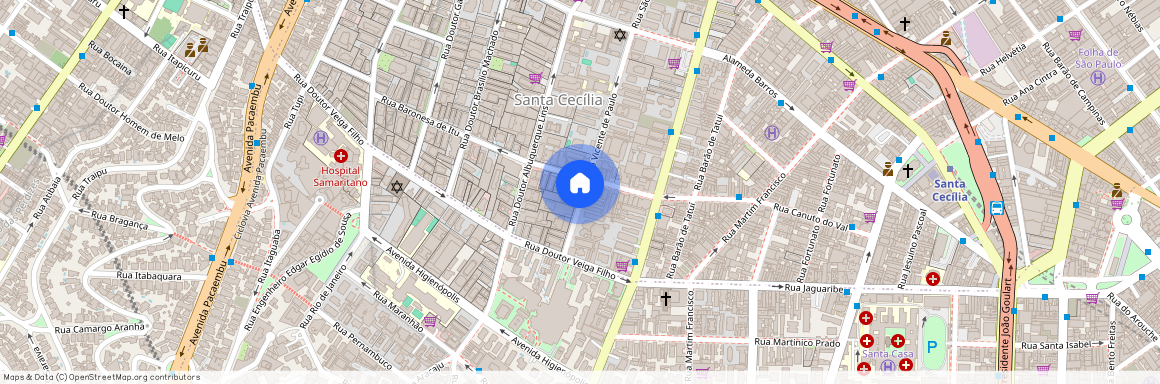 Rua São Vicente de Paulo, 606, Santa Cecília, São Paulo, São Paulo, 01229-010