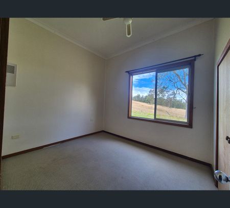 198 Hickmans Road, Brimbin, NSW 2430 - Photo 4