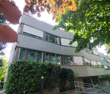 2.5 Zimmer, 68 m², EG - Foto 1