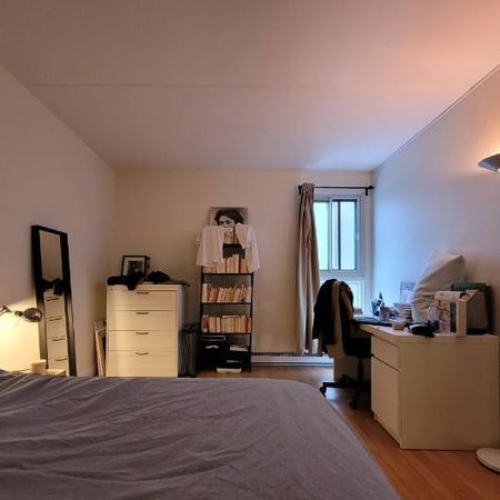 Appartement 3 ½ à louer Montcalm / Saint-Sacrement juillet 2026 - Photo 3