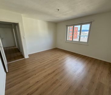 8952 Schlieren - Photo 4