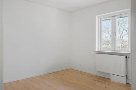 Lejevilkår: - Foto 3